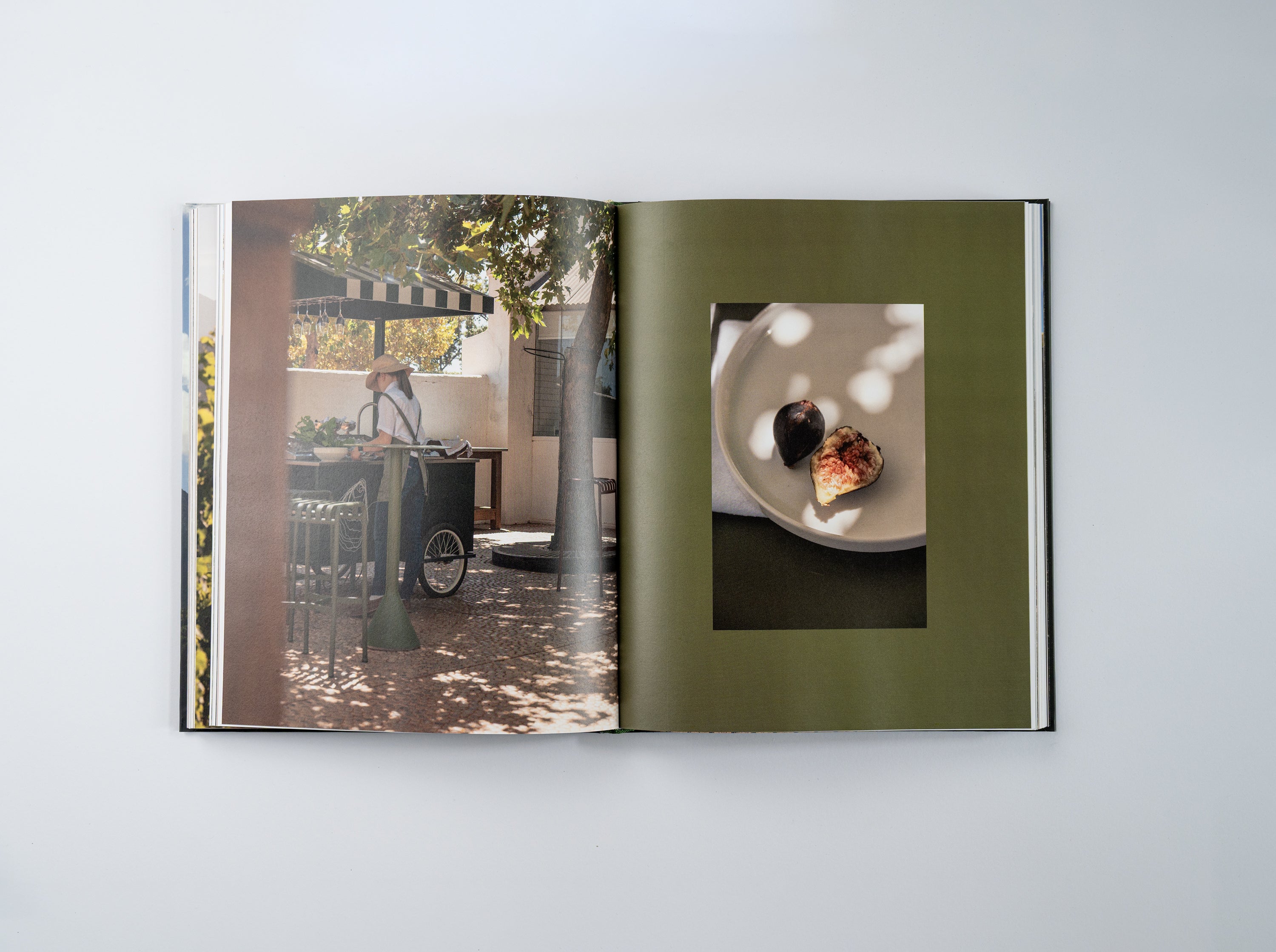 Sonlig - Coffee Table Book South Africa